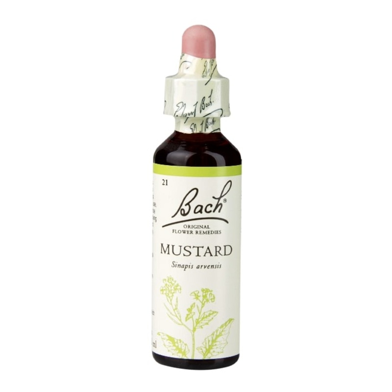 Mustard 20ml
