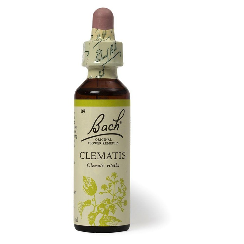 Original Flower Remedy Clematis Dropper 20MlFlower Essence